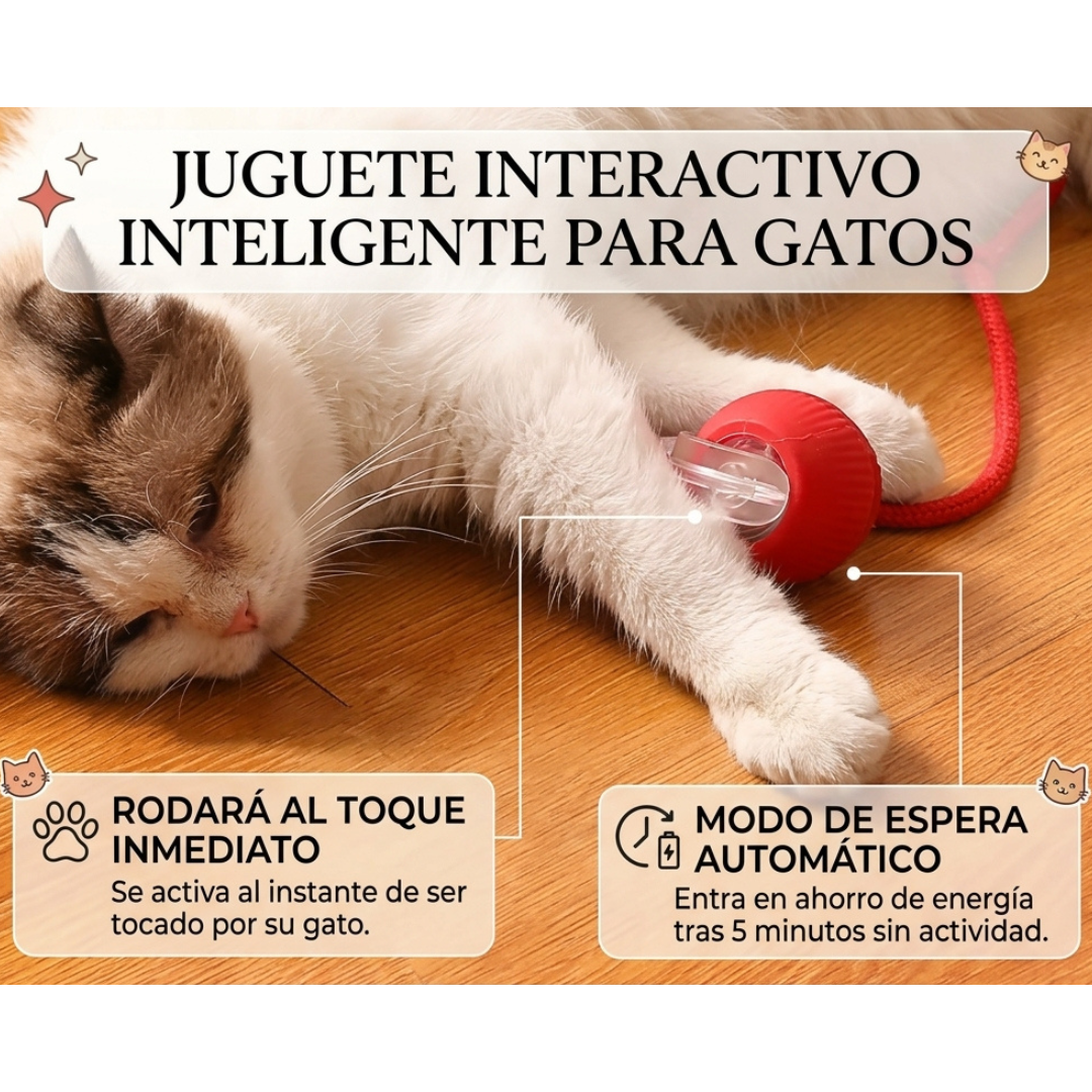 Pelota Interactiva Para Gatos